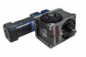 Indexer motor, rotary indexing drive, mechanical indexer